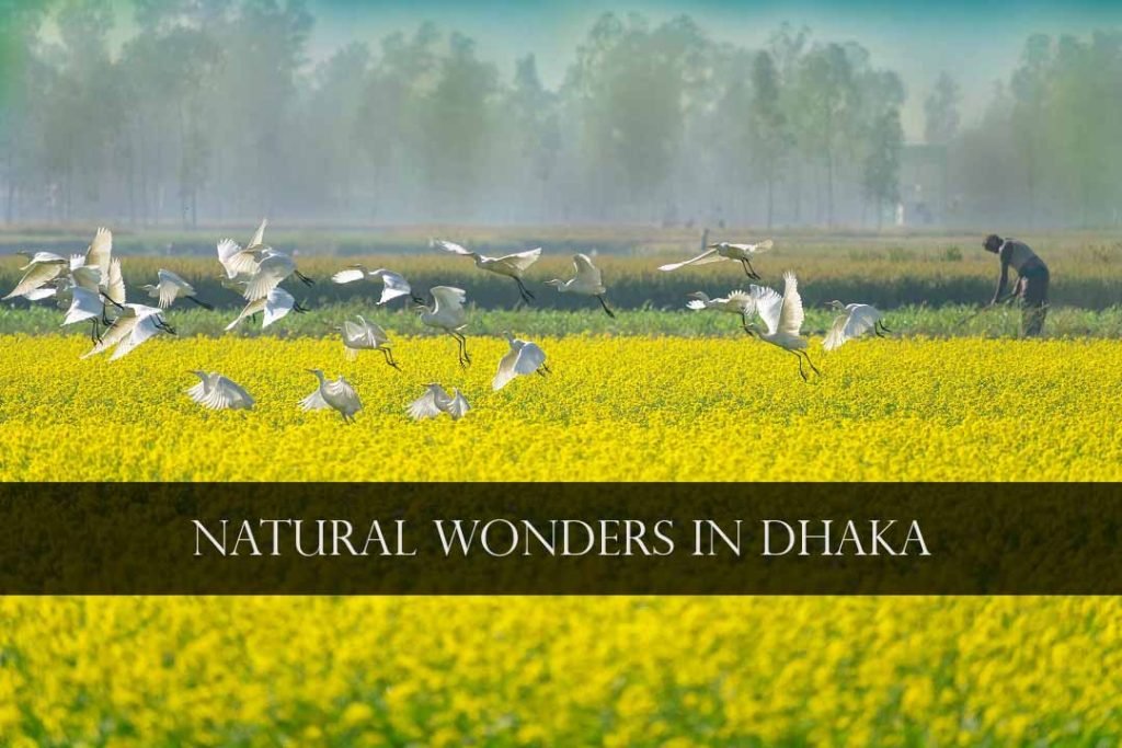 Natural Wonders in Dhaka